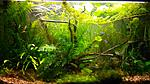 IMG 20151004 195333