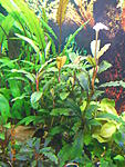 DSCN1575