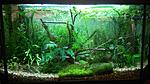 IMG 20150927 195553