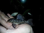 IMG 20151105 111311[1]