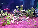 IMG 7678[1]