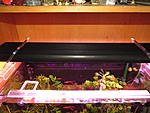 IMG 7683[1]