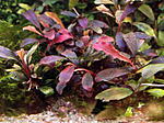DSCF1712
