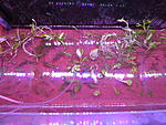 IMG 7674[1]