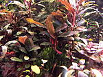 DSCF1716