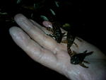 IMG 20151105 112145[2]