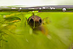IMG 5662