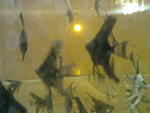 220520131229