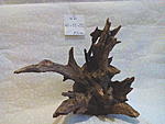 IMG 20151122 125056
