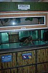 DSC 0150