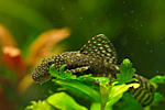 IMG 5679
