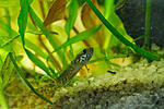 IMG 5634