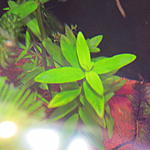IMG 7699[1]