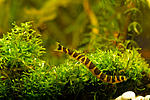 IMG 4886