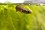 IMG 5660