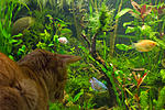 IMG 5530