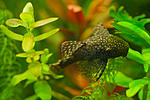 IMG 5677