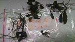 P 20150611 174235 NT