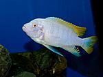 DSC 7570