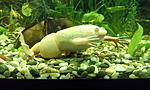 IMG 20151115 195821