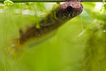 IMG 5649