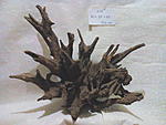 IMG 20151110 215011
