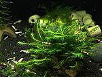 IMG 4437