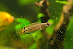 IMG 5686
