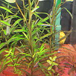 IMG 7701[1]