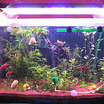 IMG 7706[1]