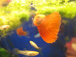 IMG 3732 6 1