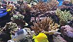 IMG 6581