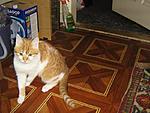 IMG 0330