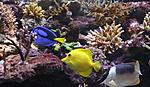 IMG 6585