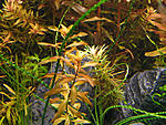 P3090018