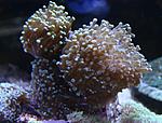 IMG 5418
