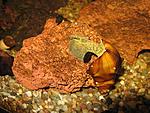 IMG 5194