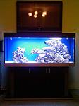 Photo 0009