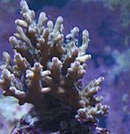 IMG 5413