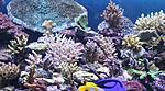 IMG 6406