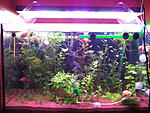 IMG 7708[1]