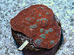 DSC 0085