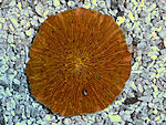 DSC 0150