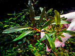 DSCF2841