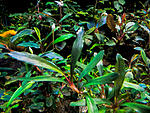 DSCF2843