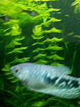 P 20151204 125009