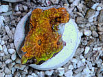 DSC 0120