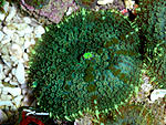DSC 0106