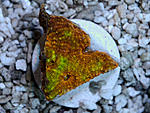 DSC 0122