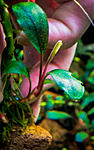 DSCF2833